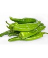 Pimiento Verde 1kg الفلفل