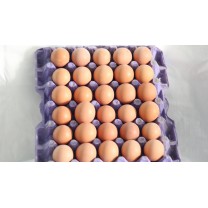 Huevos 30u البيض