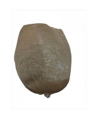Maní cacahuetes molidos producto artesanal 1kg كَرتة مطحونة